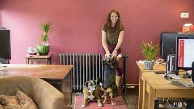 Stable Design Limited